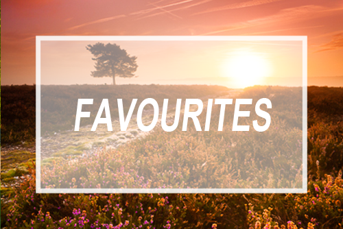 Favourites Gallery